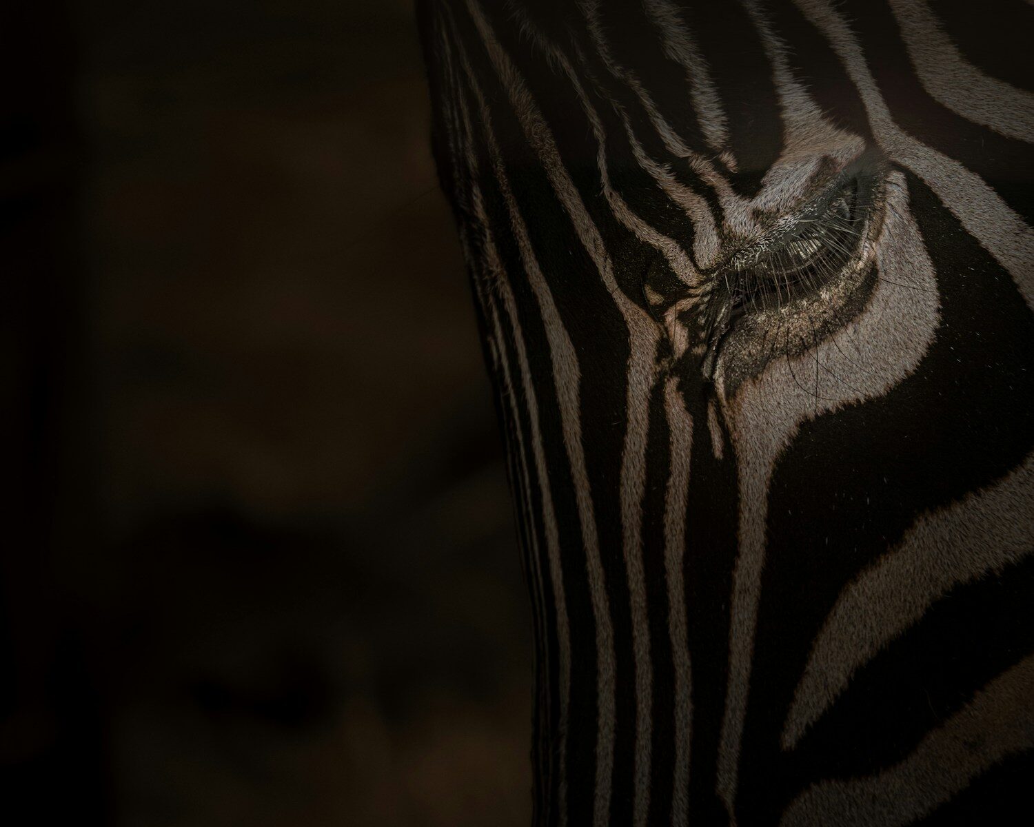 Legal Practice Management KPIs